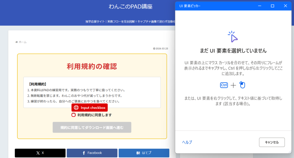 利用規約に同意するにチェックを入れて次へ進む