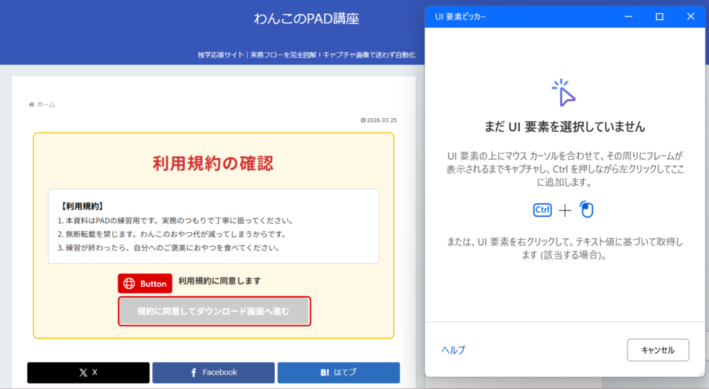 利用規約に同意するにチェックを入れて次へ進む